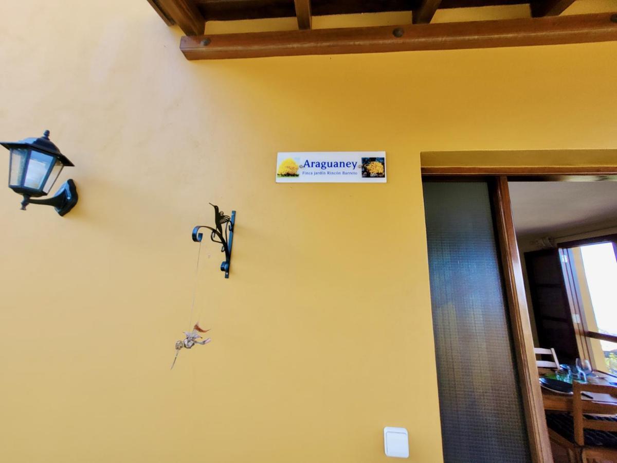 Bollullo Sunset - Araguaney Apartment La Orotava Ngoại thất bức ảnh