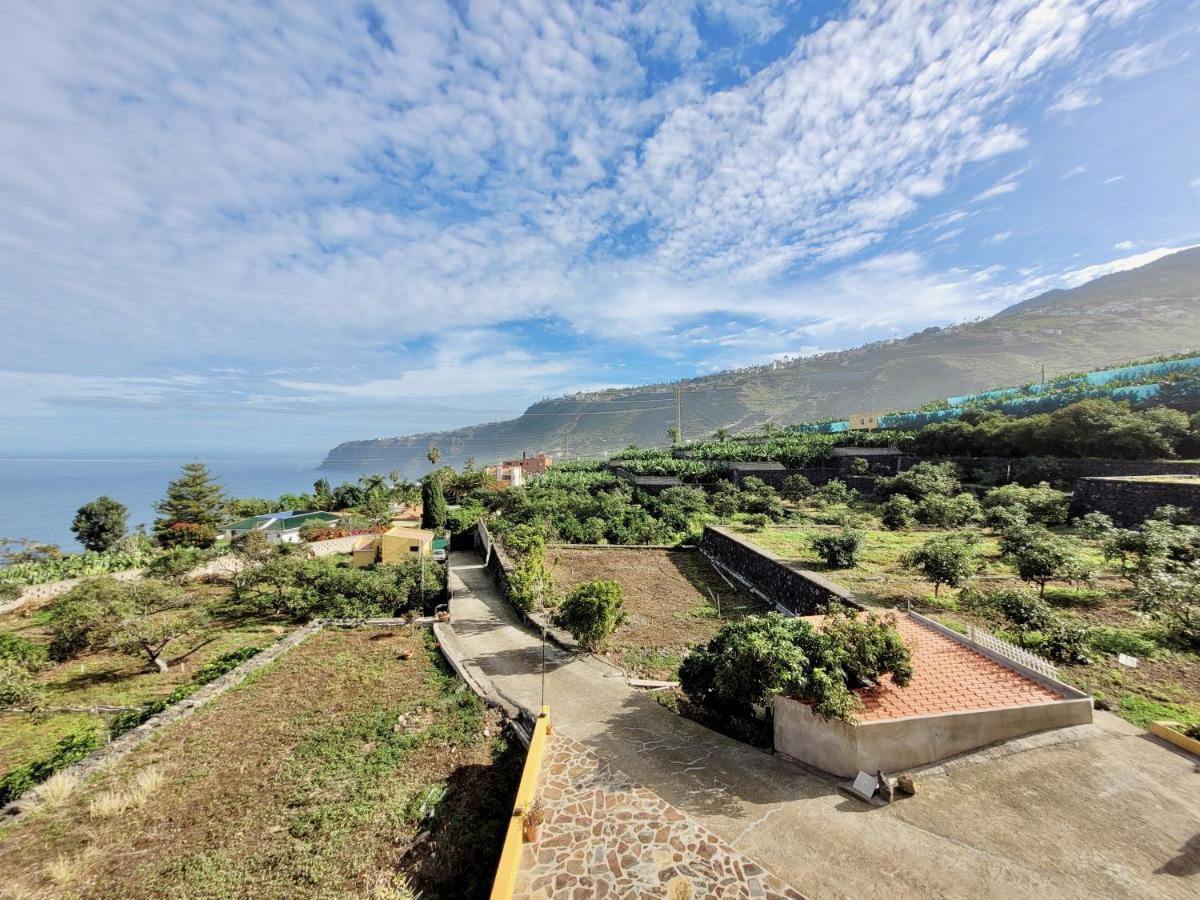 Bollullo Sunset - Araguaney Apartment La Orotava Ngoại thất bức ảnh